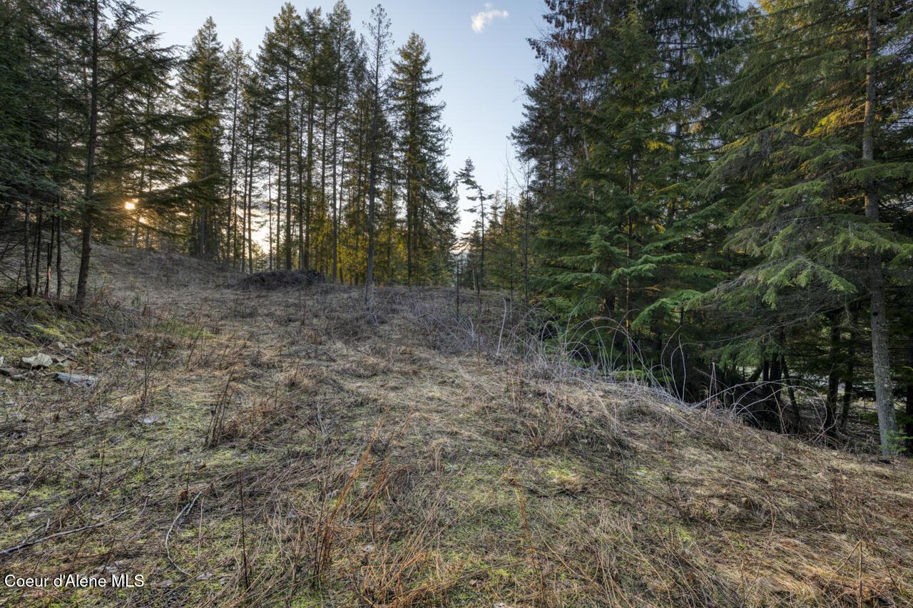 Image 1: Cleared Areas