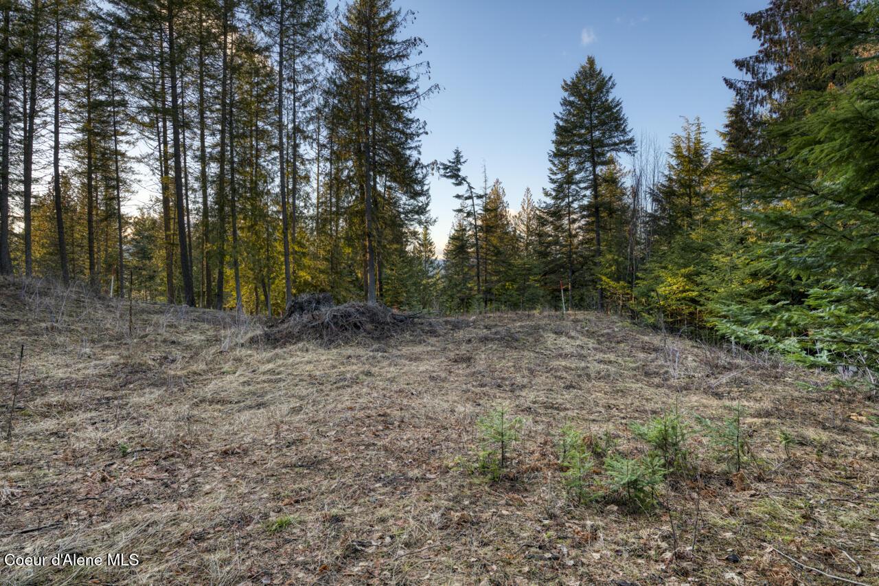 Image 3: Cleared Lot