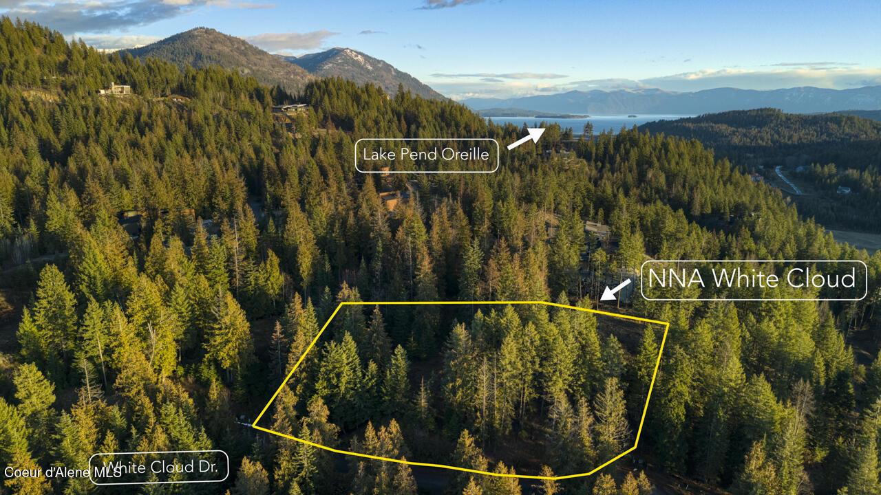 Image 4: Estimated Lot Lines
