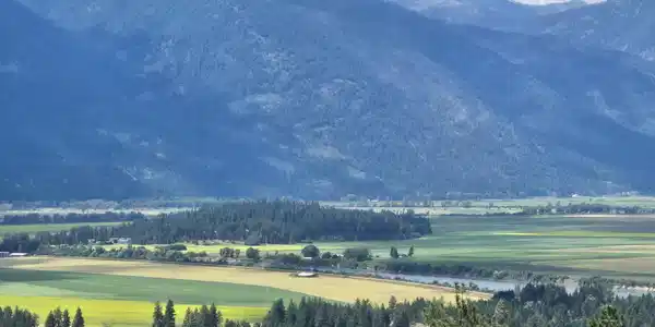 Image 4: One of a kind views