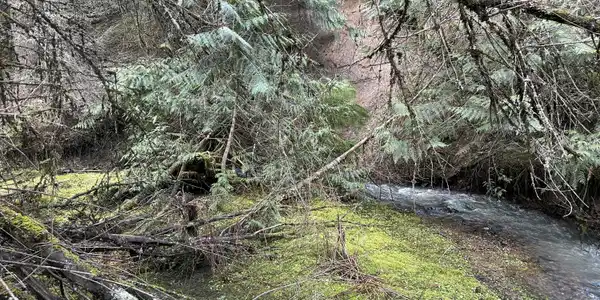 Image 2: Bell Creek