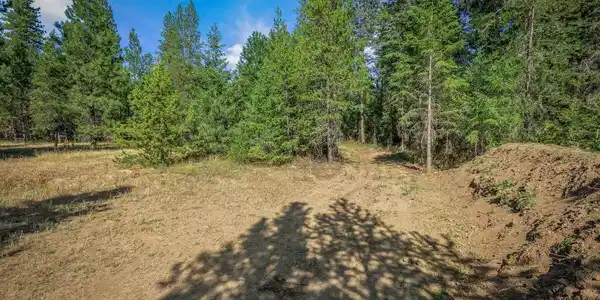 Image 3: Level