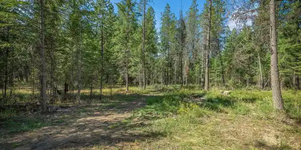 Image 4: Land