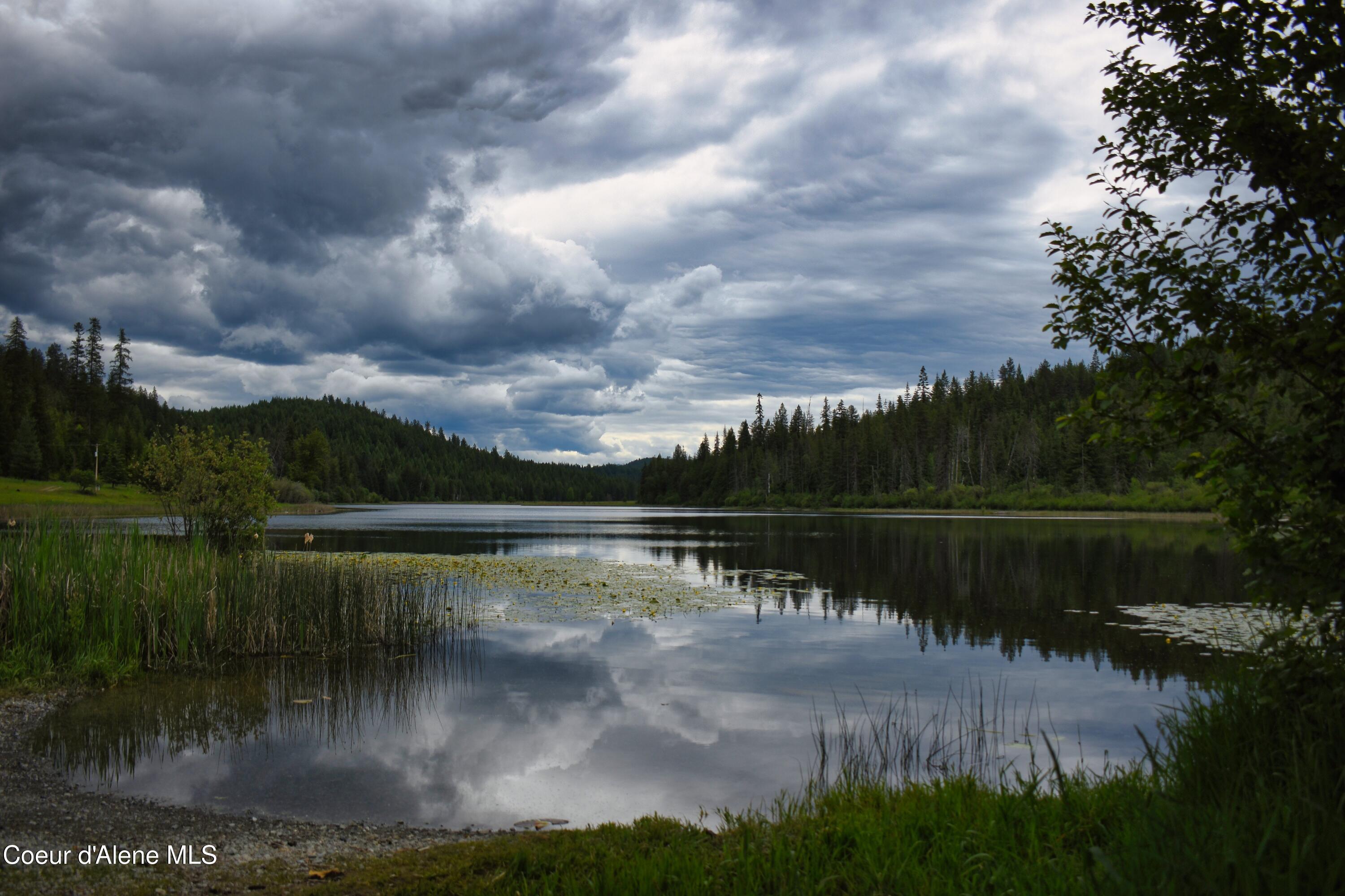 Image 4: DSC_5885