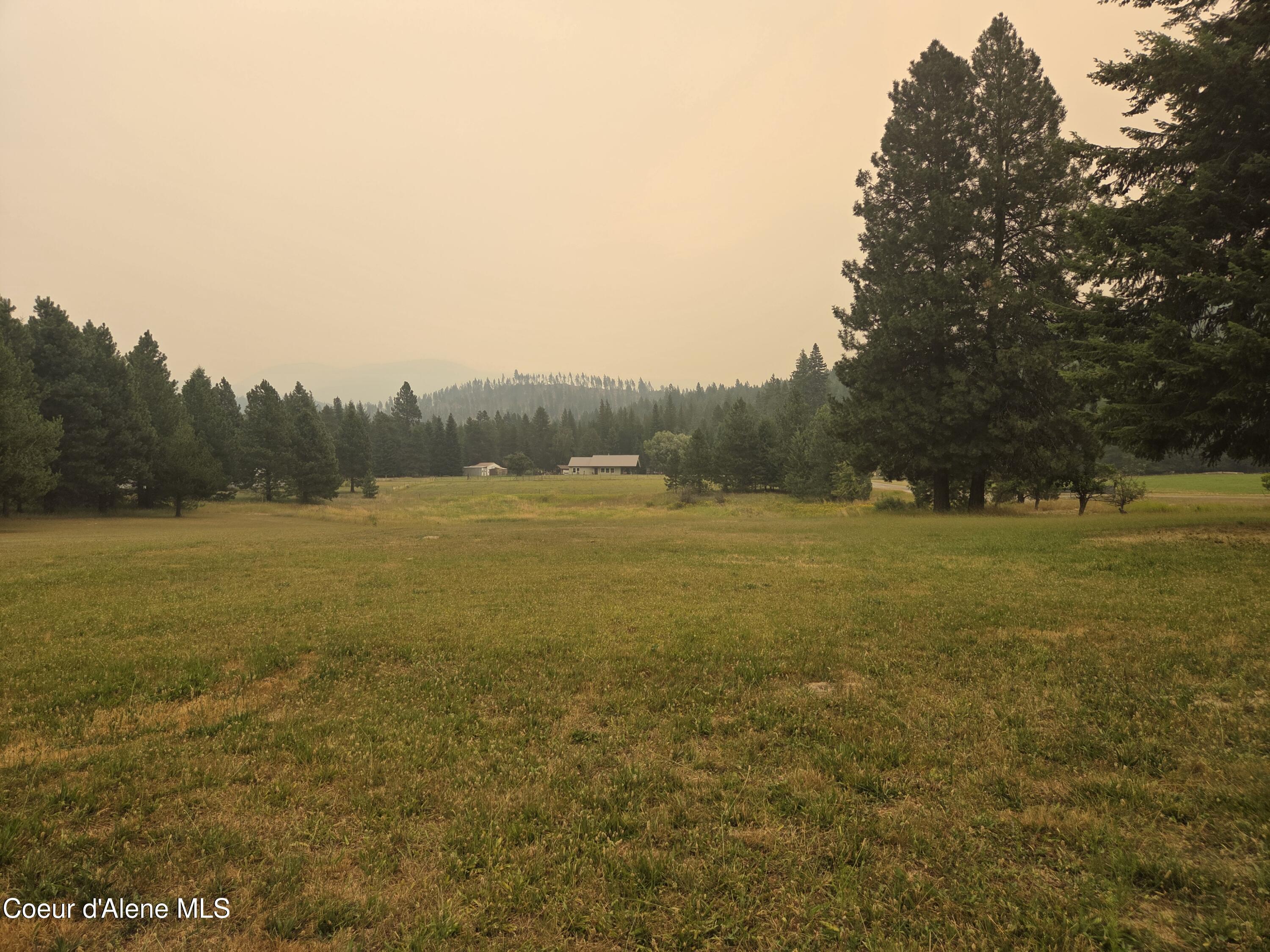 Image 1: pasture