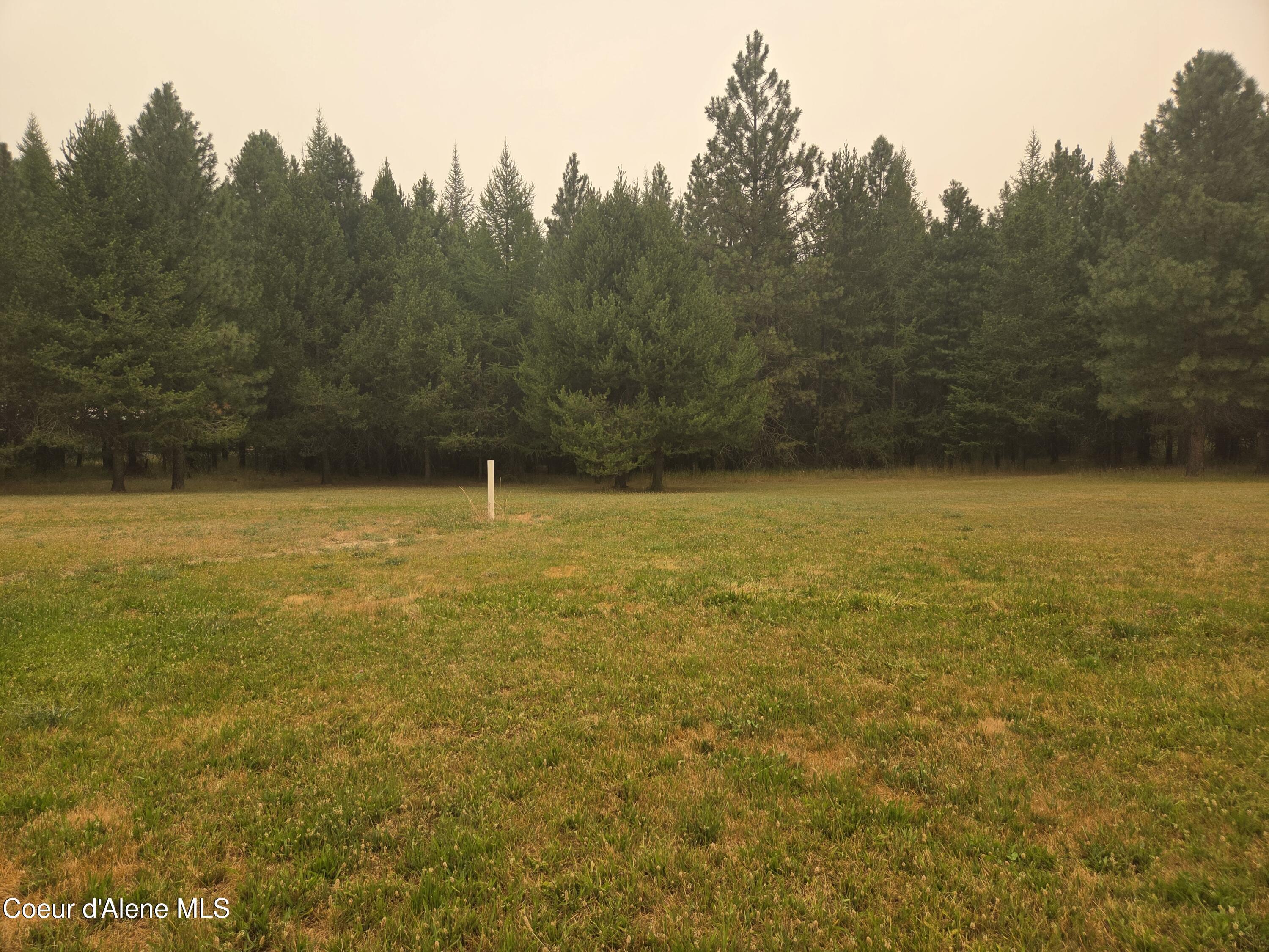 Image 3: 20260802_085514(0)