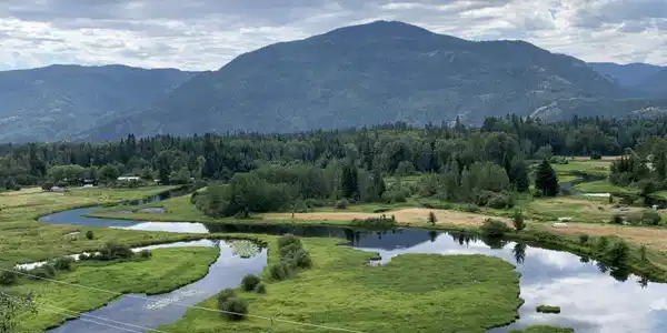 Image 3: View from house