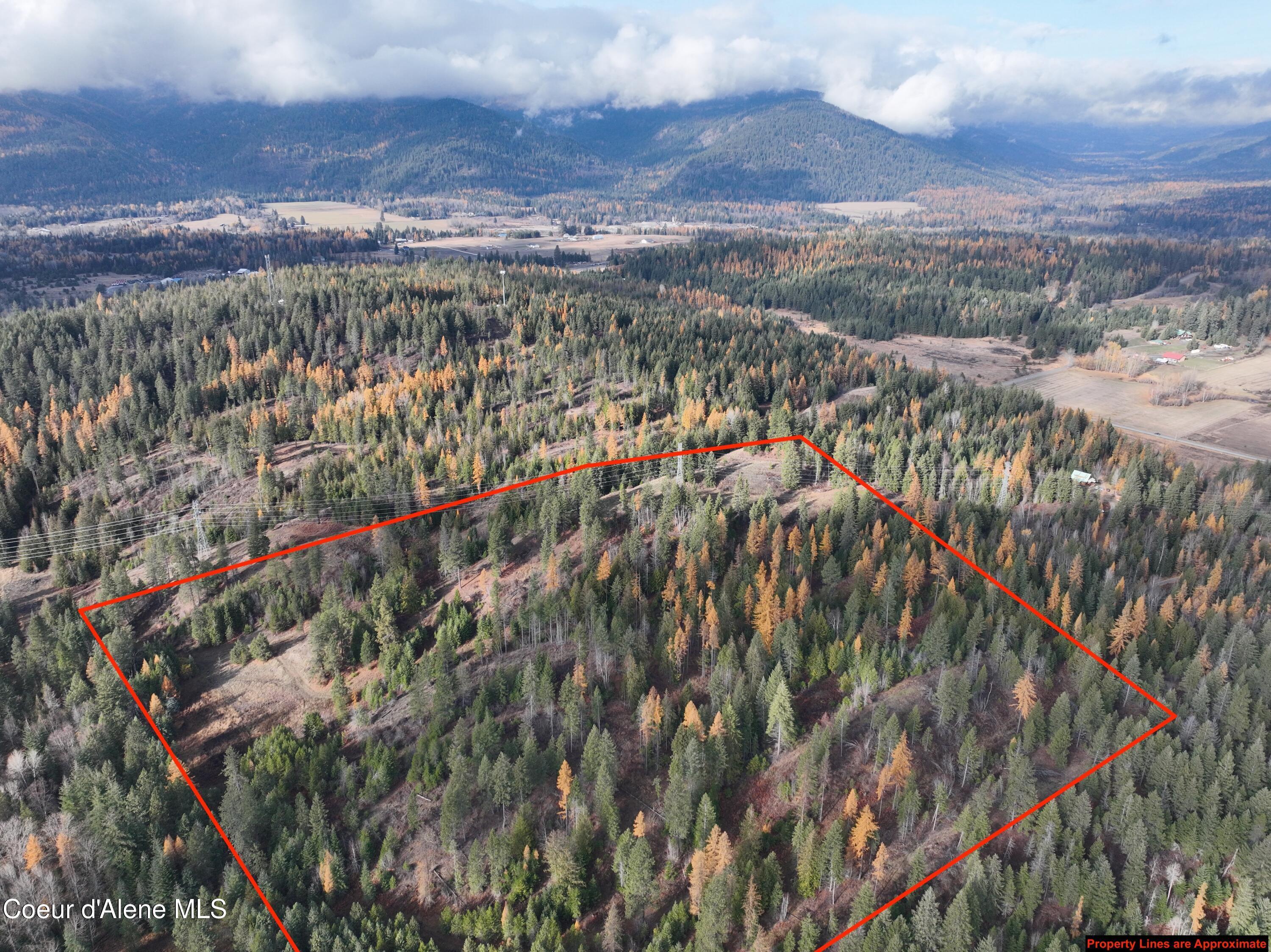 Image 4: DJI_0871 copy