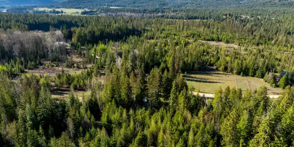 Image 4: Partial Timber