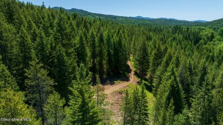 TBD Kreiger Creek Rd. Lot 1