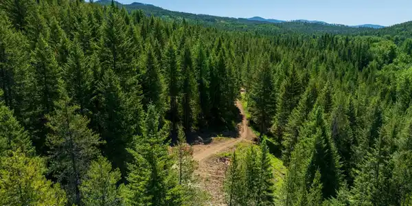 TBD Kreiger Creek Rd. Lot 1