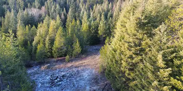L7 B1 KELSO WOODS DR