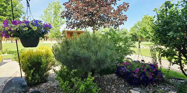 Image 3: 4341880202158831790