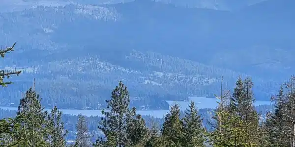 Image 2: 2