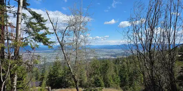 Image 3: 3