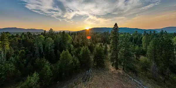 Image 2: 79.5+acres