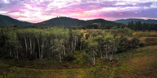 Image 3: NNE E Dudley Rd, Cataldo, ID 83810