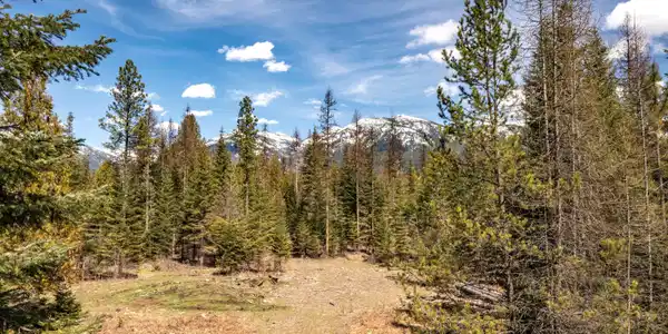 NNA Timber Ridge Trail