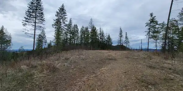 Image 2: 2