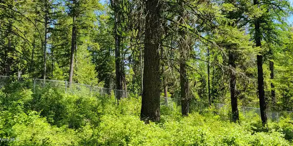 Image 3: 20250527_135224