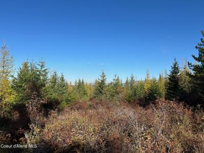 Tract B USFS 2222A