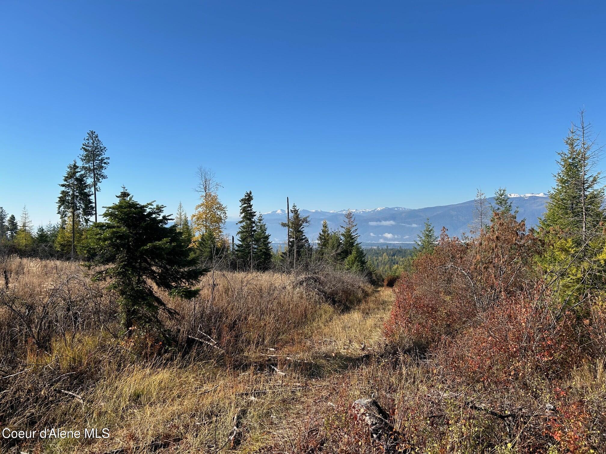 Image 2: 4