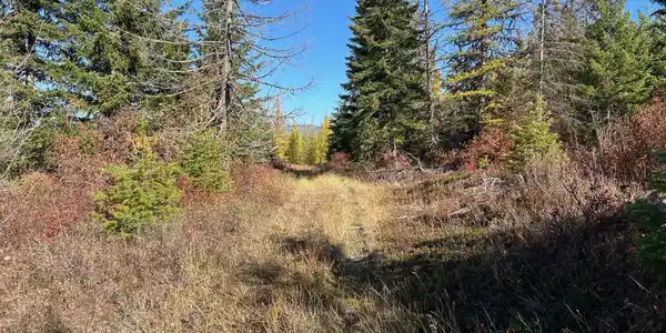 Image 3: 8