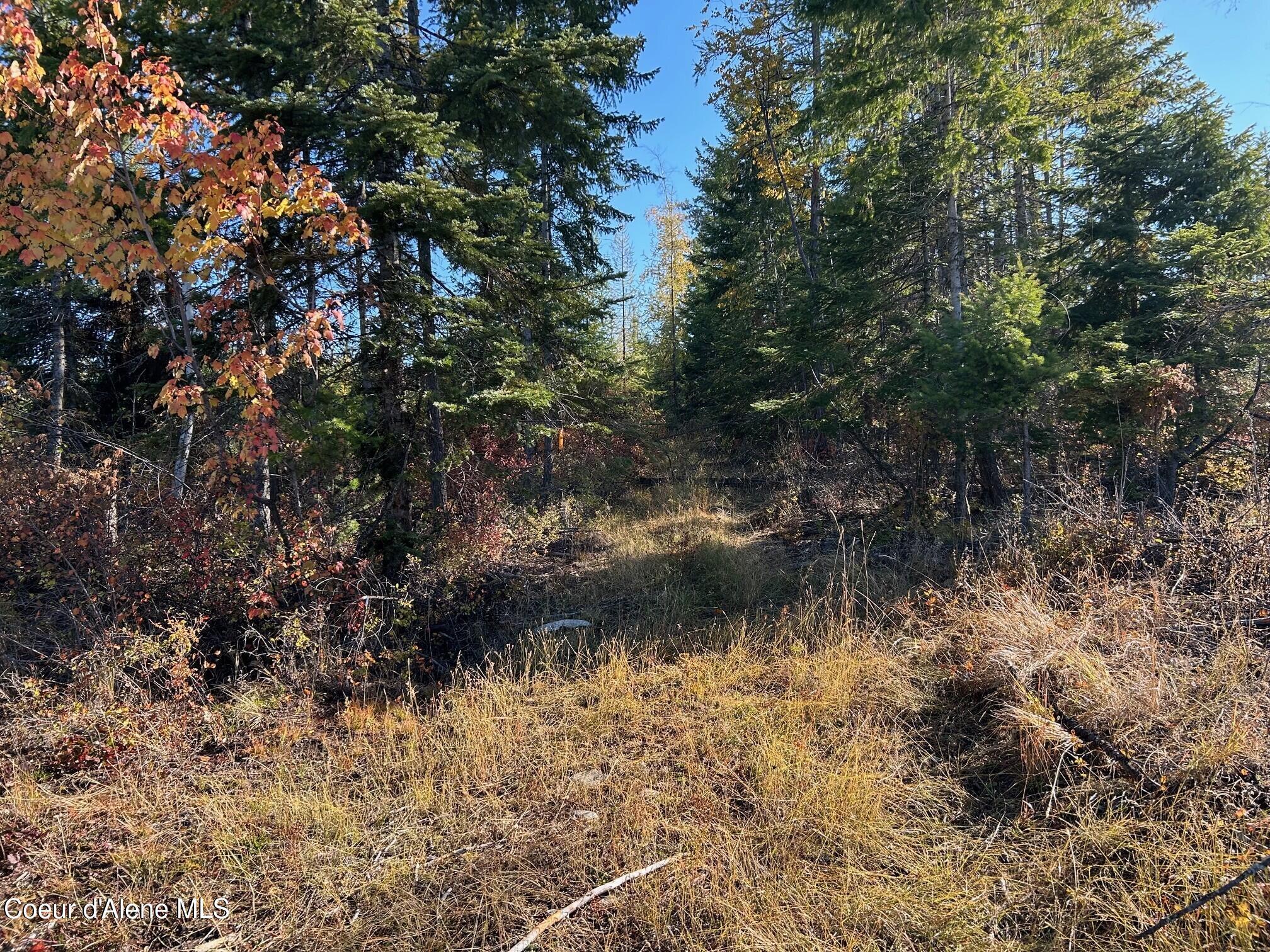 Image 4: 5