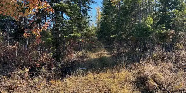 Image 4: 5