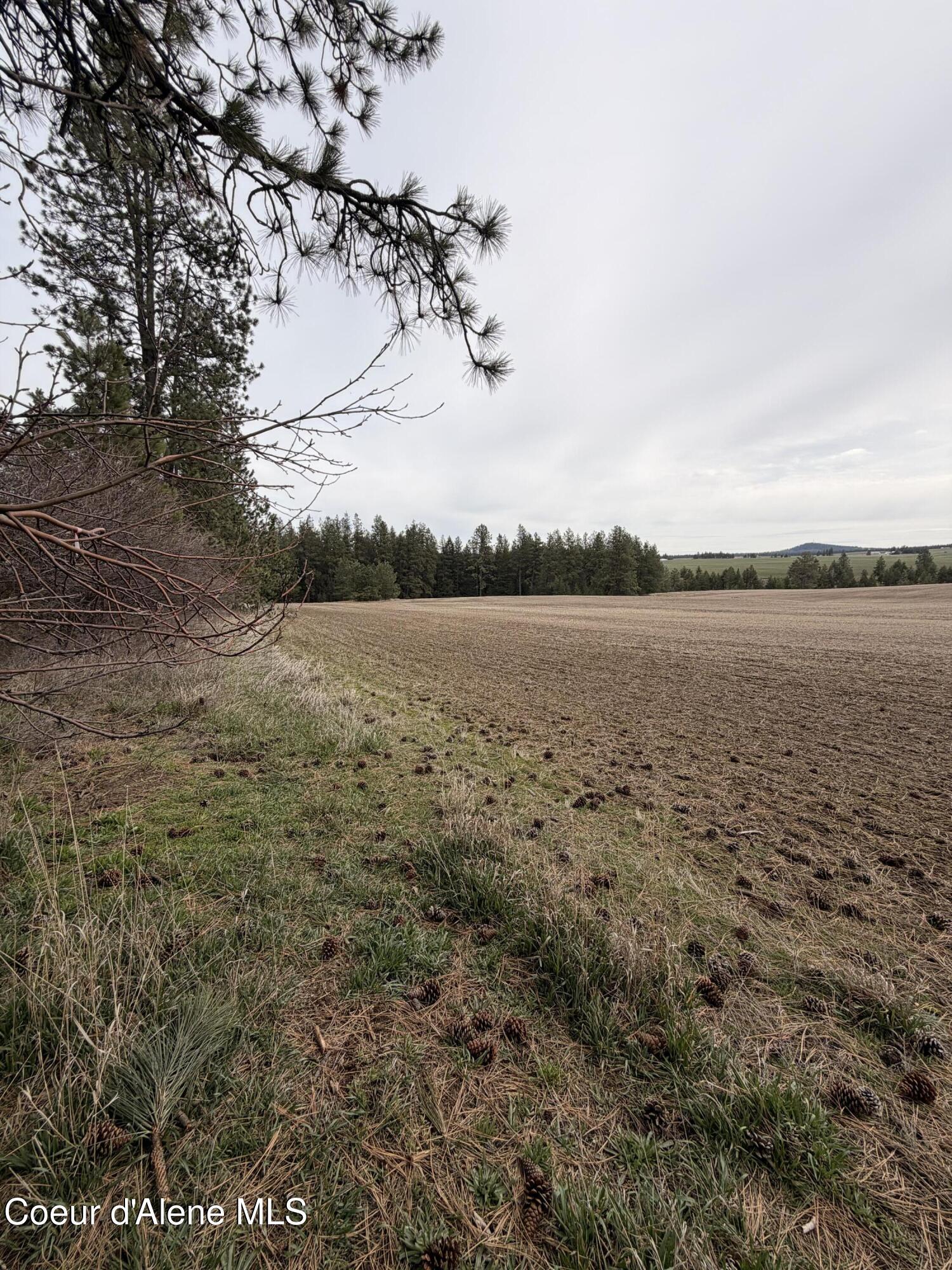 Image 1: Main