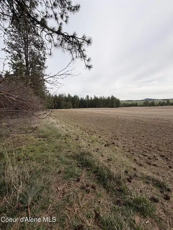 Image 1: Main
