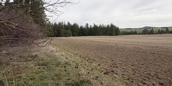 TBD Sandhill Rd.