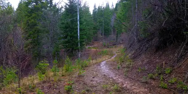 Image 2: 2