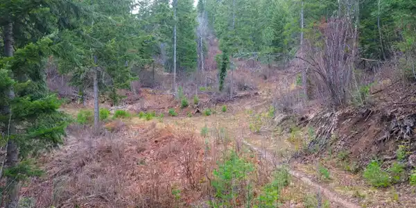 Image 4: 4