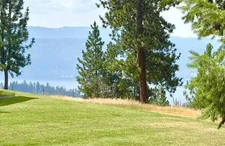 Image 4: Lake CDA Views
