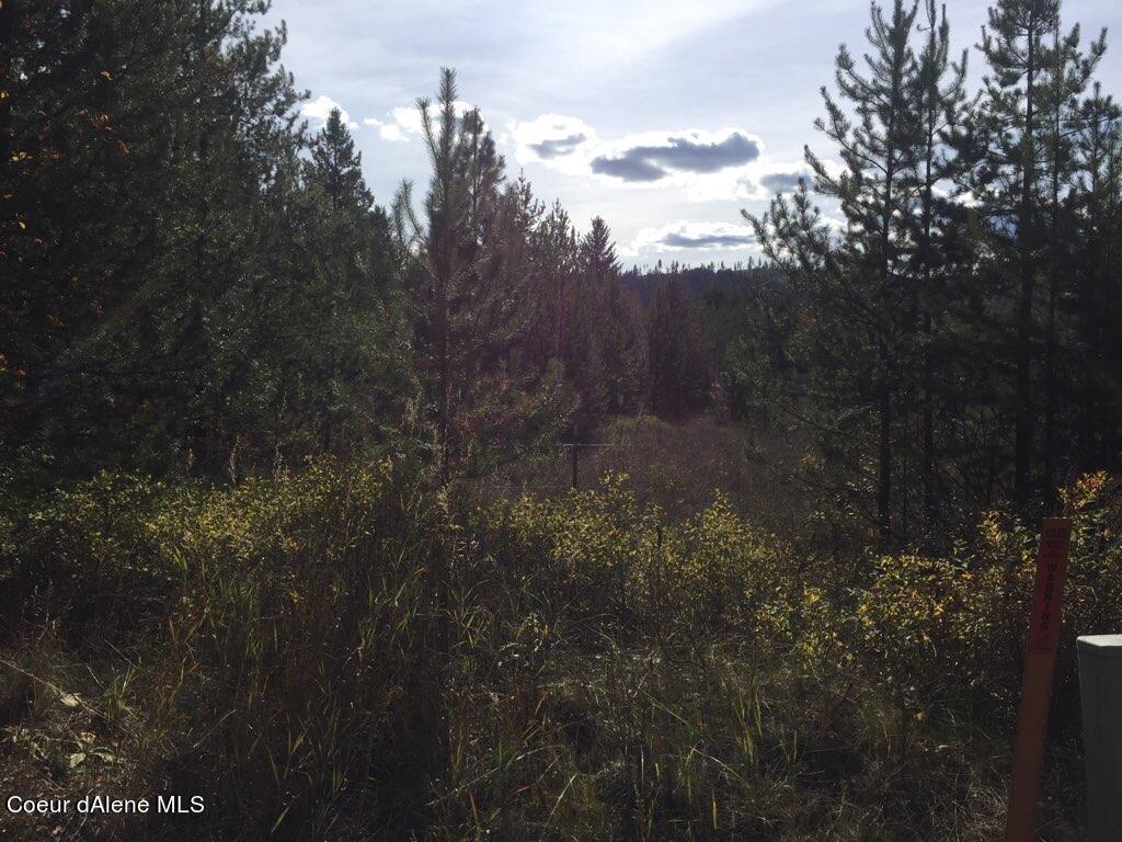Image 1: Property