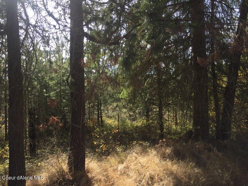 Image 3: F373146B-C7B4-4862-9155-B75D72B0D17E