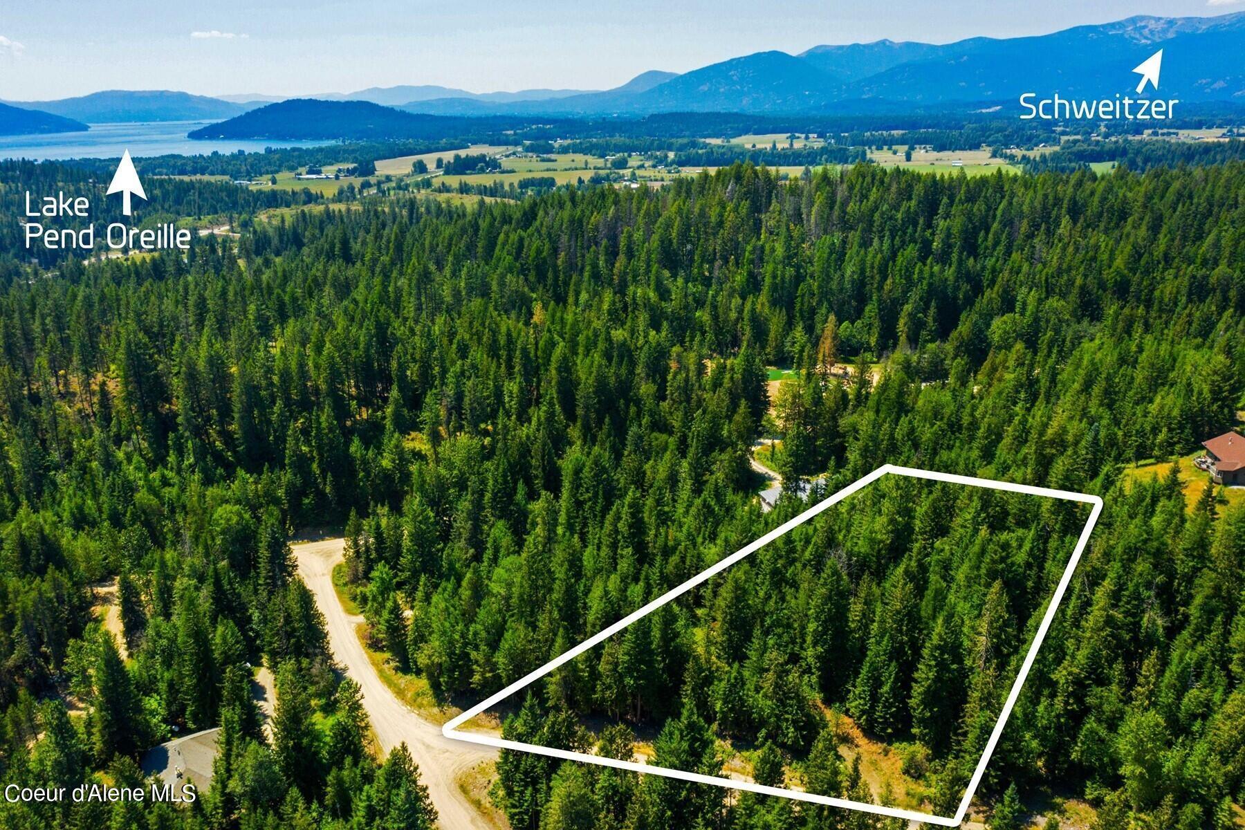 Image 2: North Idaho Gem