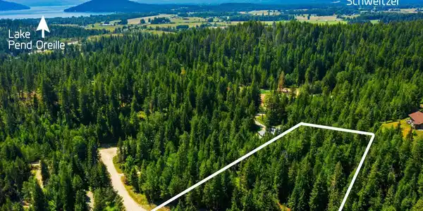 Image 2: North Idaho Gem