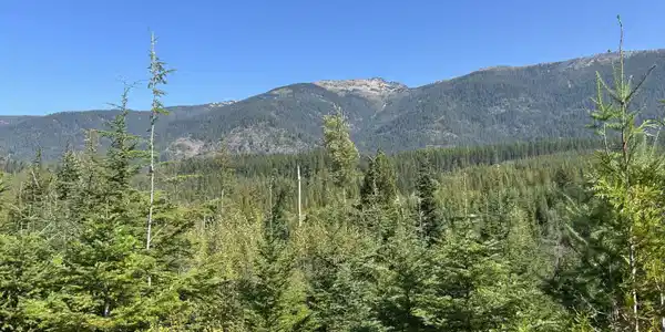 Tract 5 USFS 2294