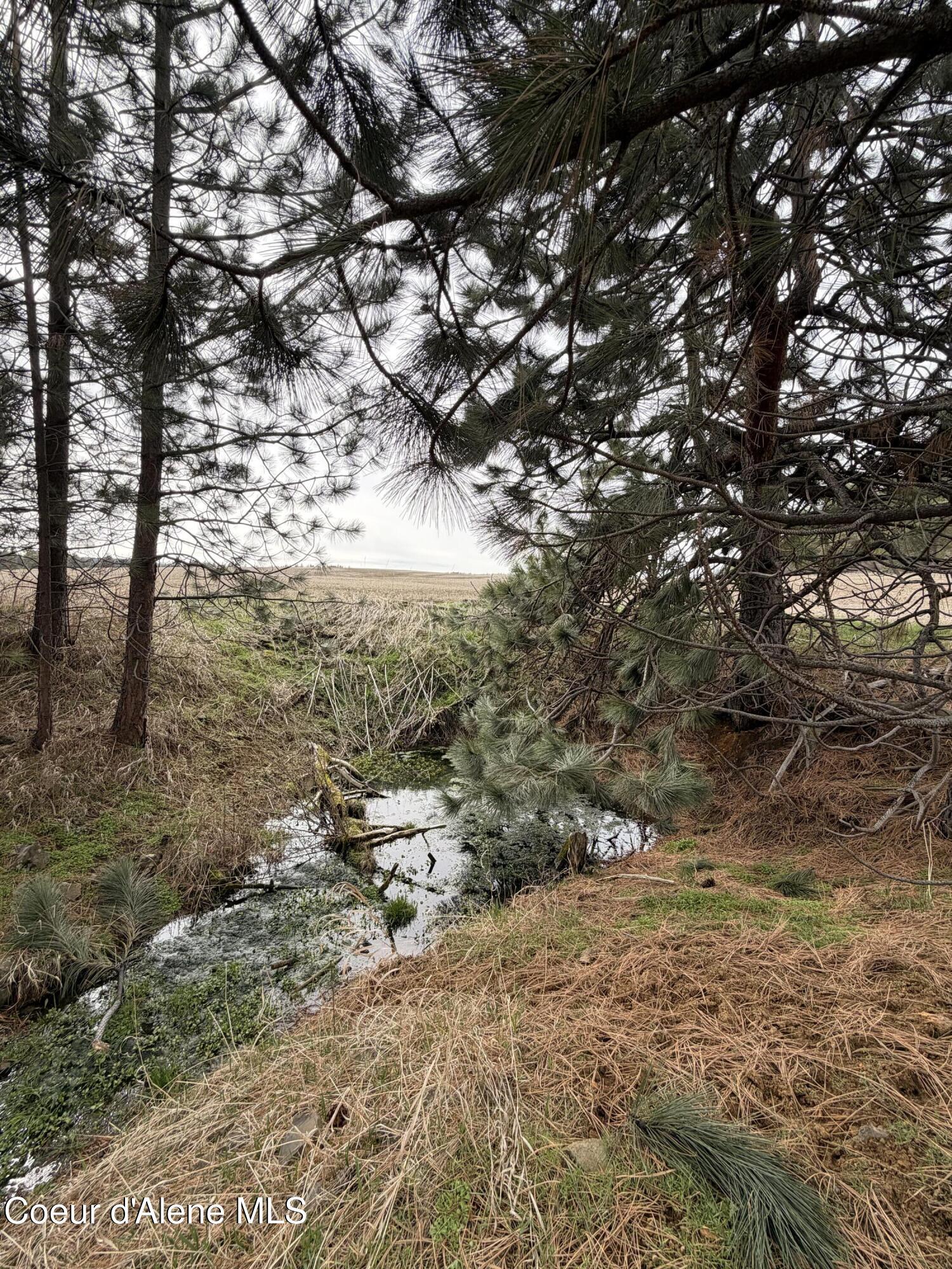 Image 2: 2