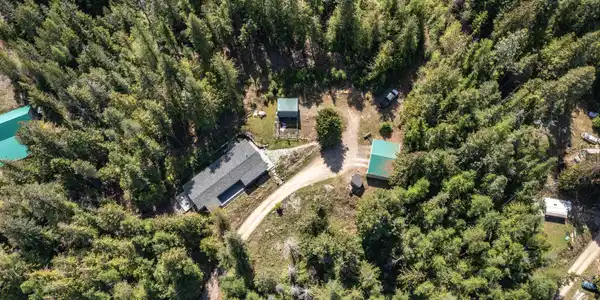 Image 2: Wooded Acreage