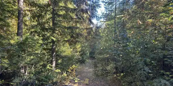 NNA Rustic Way North Lot 8
