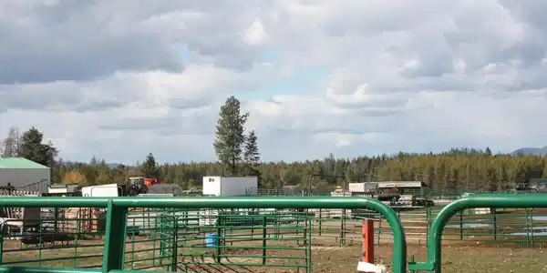 Image 3: Across pens