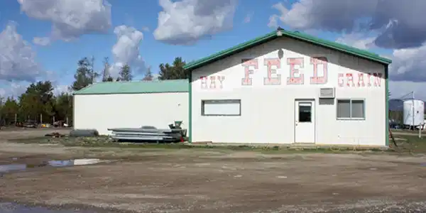 Image 4: Feed Store Building Resized