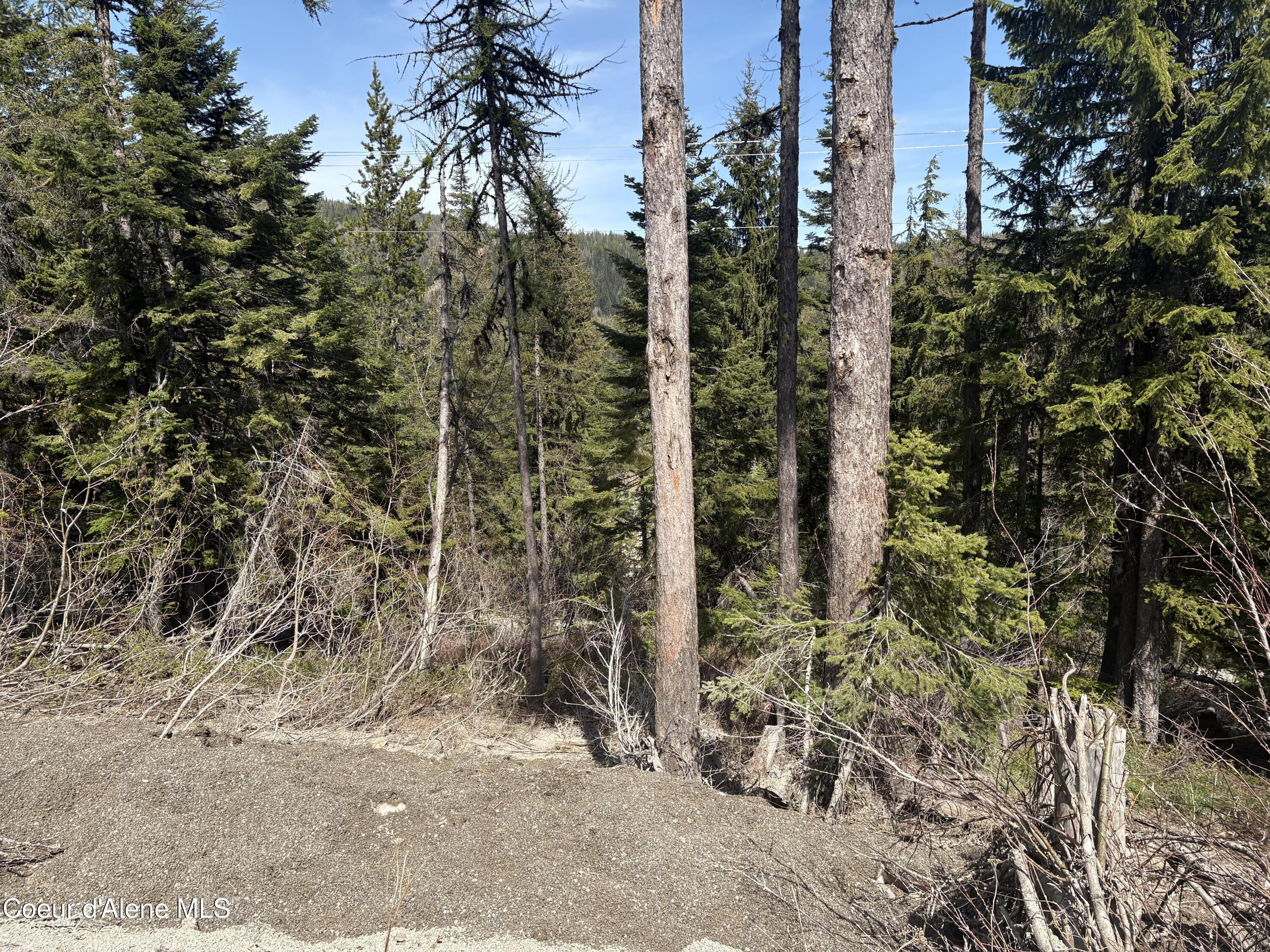 Image 2: Top of Lot