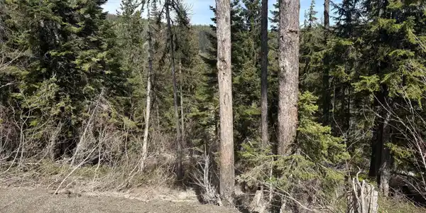 Image 2: Top of Lot