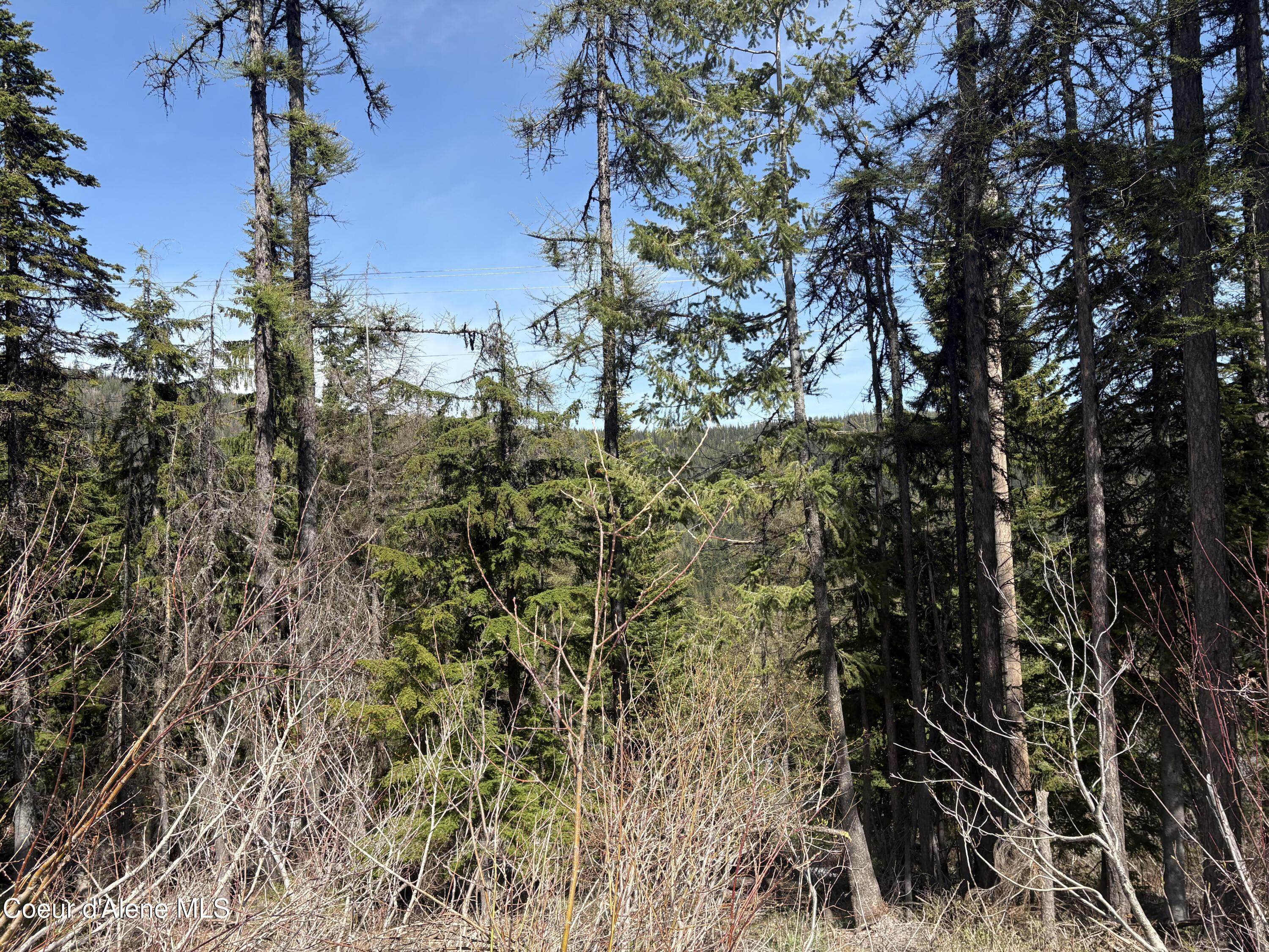 Image 2: Top of Lot