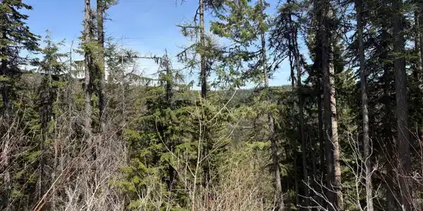 Image 2: Top of Lot