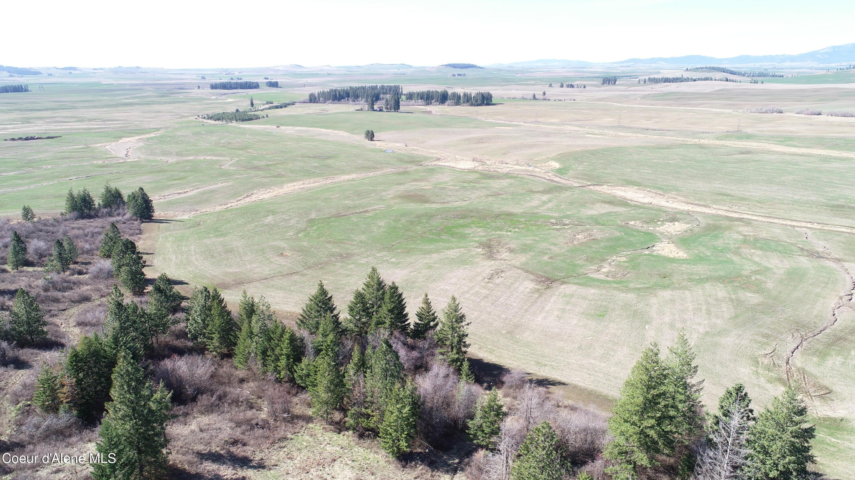 Image 3: DJI_0003